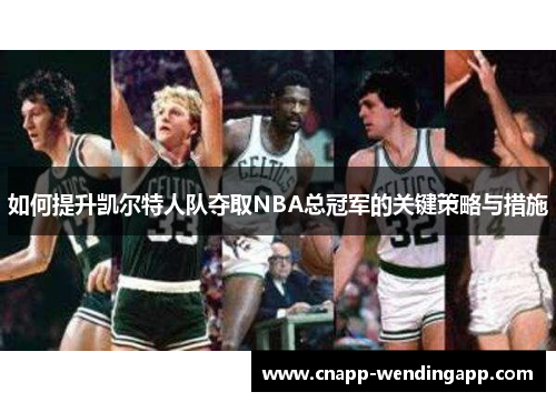 如何提升凯尔特人队夺取NBA总冠军的关键策略与措施