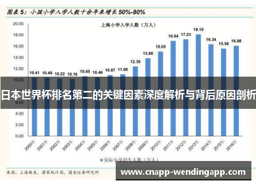 日本世界杯排名第二的关键因素深度解析与背后原因剖析