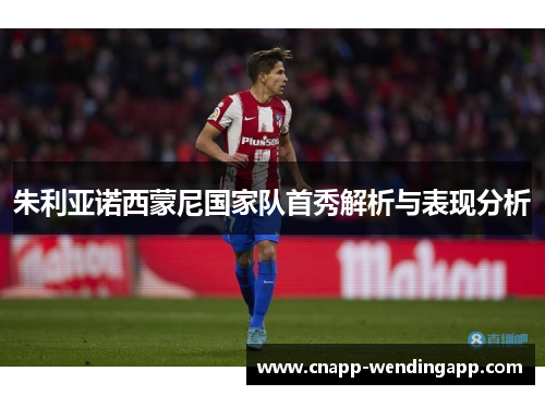 朱利亚诺西蒙尼国家队首秀解析与表现分析