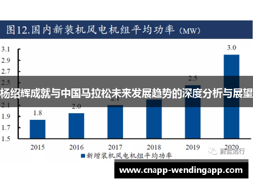 杨绍辉成就与中国马拉松未来发展趋势的深度分析与展望