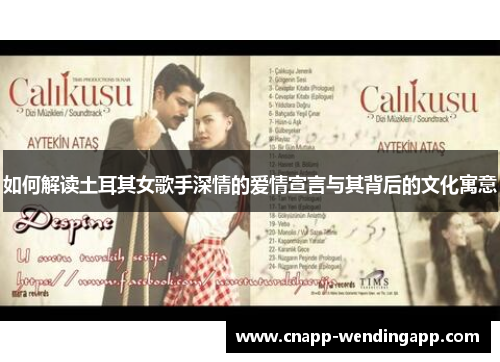 如何解读土耳其女歌手深情的爱情宣言与其背后的文化寓意