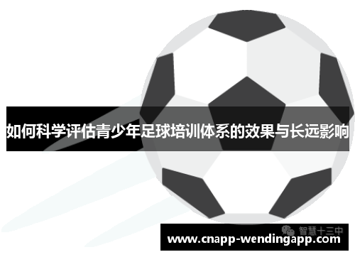 如何科学评估青少年足球培训体系的效果与长远影响