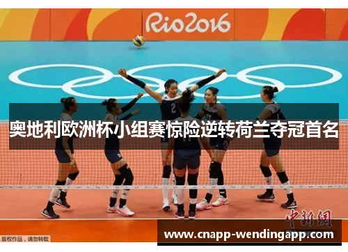 奥地利欧洲杯小组赛惊险逆转荷兰夺冠首名