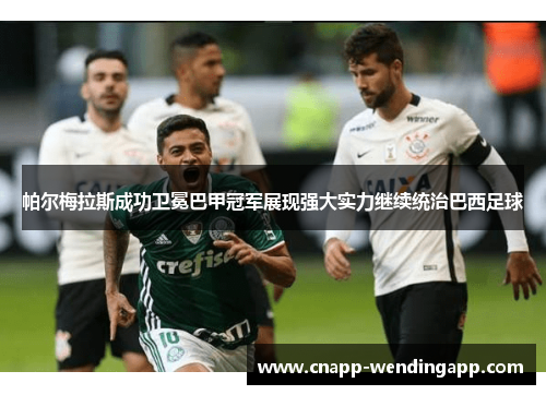 帕尔梅拉斯成功卫冕巴甲冠军展现强大实力继续统治巴西足球