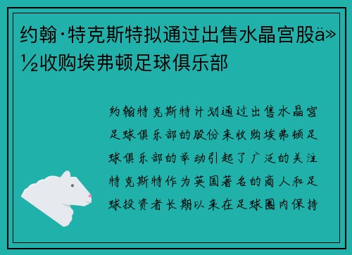 约翰·特克斯特拟通过出售水晶宫股份收购埃弗顿足球俱乐部